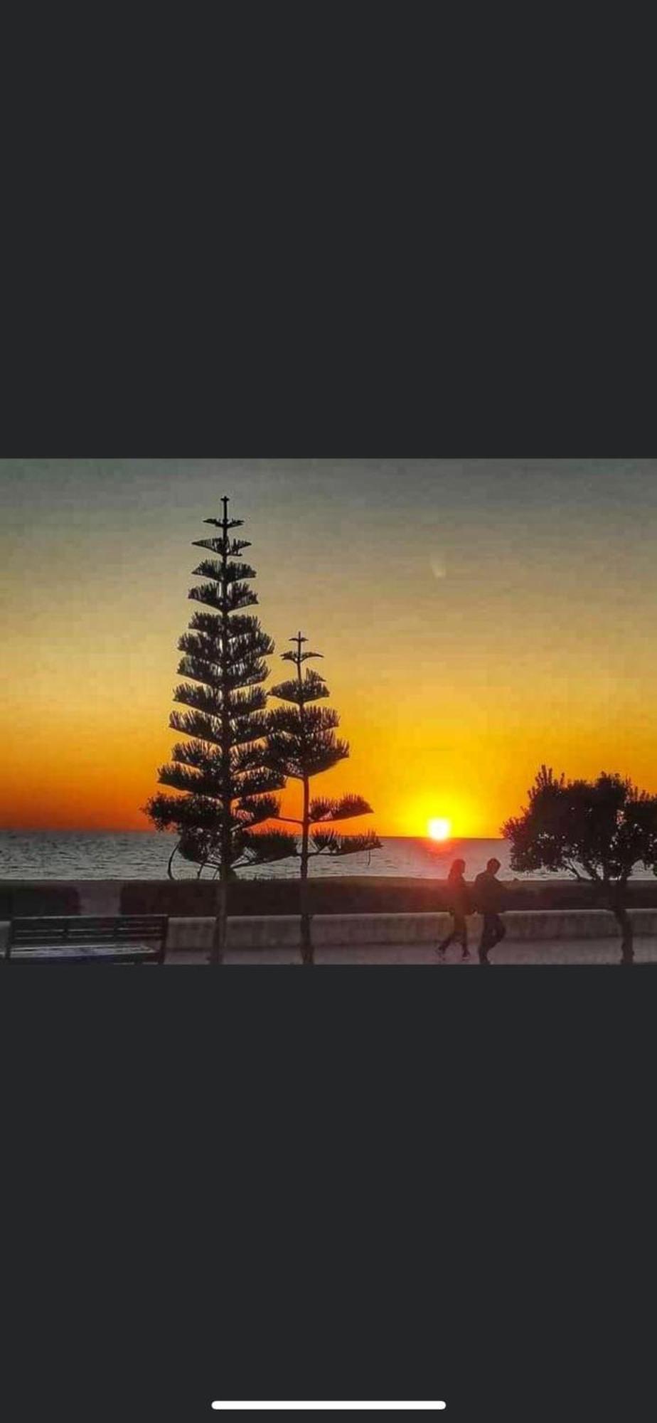Villa Pepita Almerimar Dış mekan fotoğraf