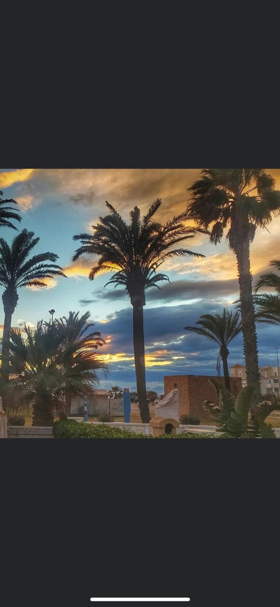 Villa Pepita Almerimar Dış mekan fotoğraf